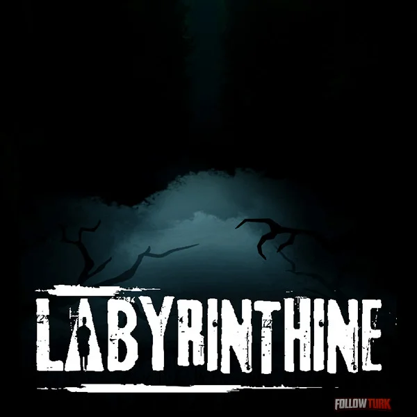Labyrinthine - FollowTurk